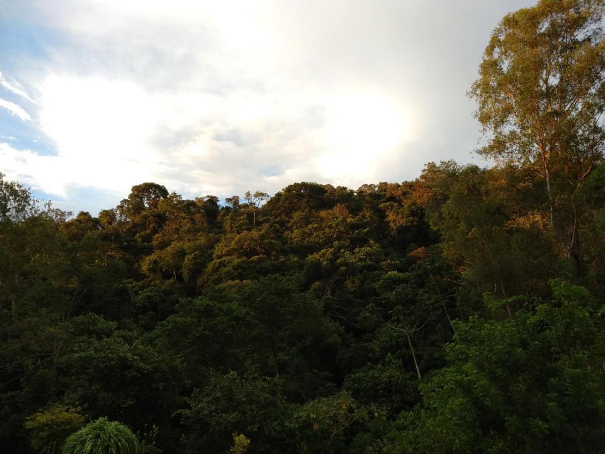 Pousada Reserva Nativida Santo Antônio do Pinhal Exteriör bild